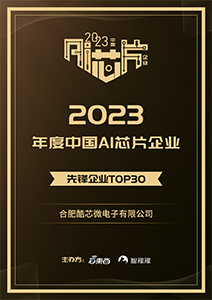 2023年度中國AI芯片企業先鋒企業TOP30